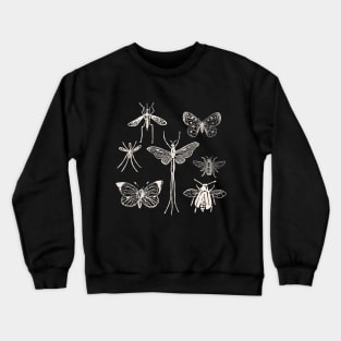 Moths & Butterflies & Insects & Dragonfly Crewneck Sweatshirt